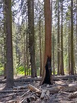 IMG_20220523_164205484_HDR
