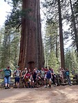 IMG-20220525-WA0024