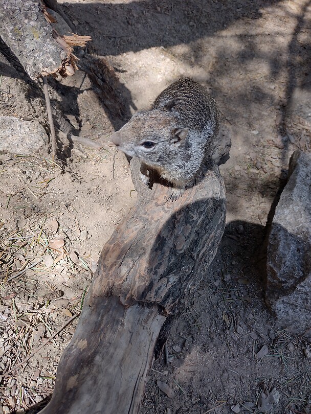 IMG_20220524_115913789_HDR