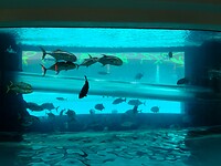 IMG_20220527_175127061