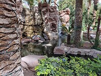 IMG_20220527_153206859_HDR
