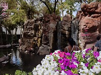 IMG_20220527_153125469_HDR