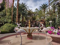 IMG_20220527_152736681_HDR