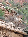 IMG_20220529_073155250