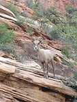 IMG_20220529_073148555