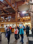 IMG_20220529_201635527