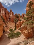 IMG_20220529_150205703_HDR