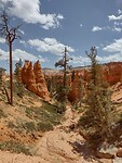 IMG_20220529_145616218_HDR