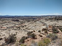 IMG_20220530_095223542_HDR