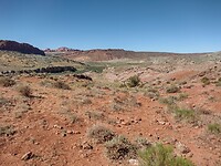 IMG_20220531_100646536_HDR