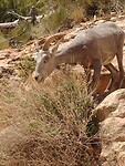IMG_20220603_113545127