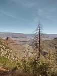IMG_20220603_105824467_HDR