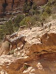 IMG_20220603_113512457