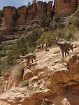 IMG_20220603_113505773