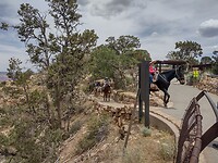 IMG_20220603_131358751_HDR