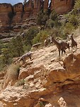 IMG_20220603_113508440