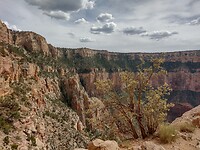 IMG_20220603_153529496_HDR