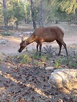 IMG_20220603_185556441
