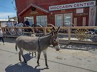 IMG_20220604_142655856_HDR
