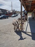 IMG_20220604_143130840_HDR