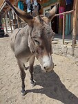 IMG_20220604_144339293_HDR