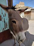 IMG_20220604_144309750_HDR