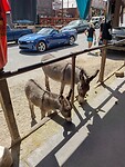 IMG_20220604_143827346_HDR