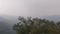 VID_20190727_143125367