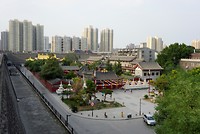 _DSC0565 (2)