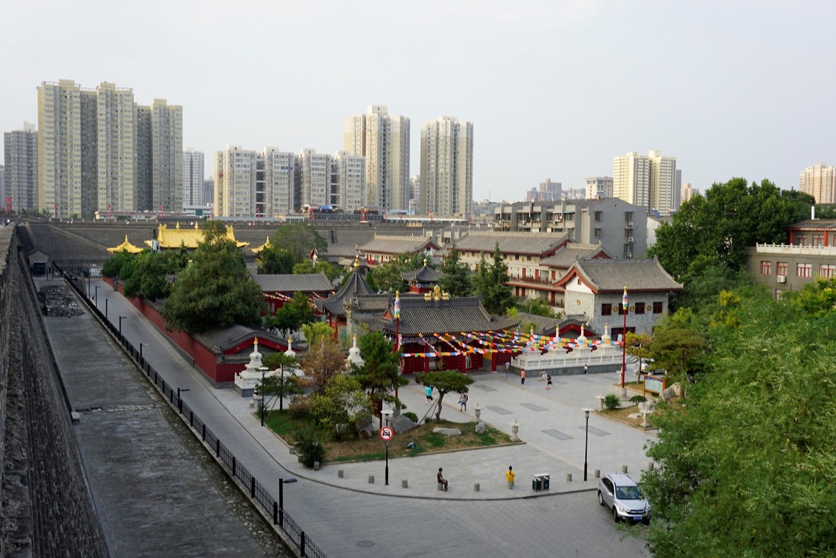 _DSC0565 (2)