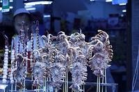 _MG_0383 (2)