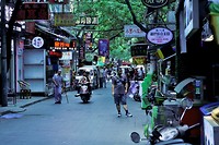 _MG_0384 (2)