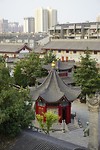 _DSC0568
