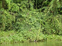 Parque Perla