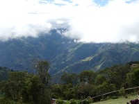 Panorama Casa Del Arbol