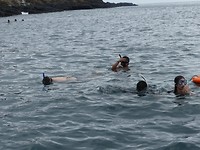Snorkelen