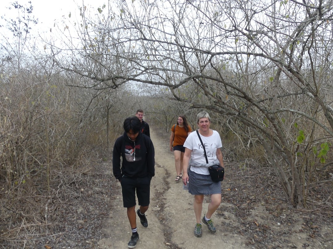 Wandeling
