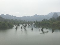 1862E447-AC00-4C26-974F-2057F11005E7