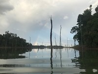 IMG_0190