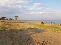 Lake Basotu