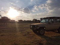 Thom's jeep, een halve tank