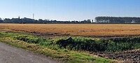 12 Nieuw Namen in zicht