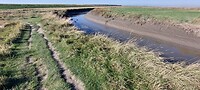 Kijkend richting Nederland