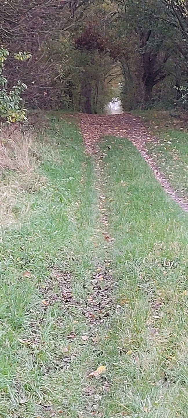 4. heuveltje op