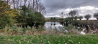 9. poeltje