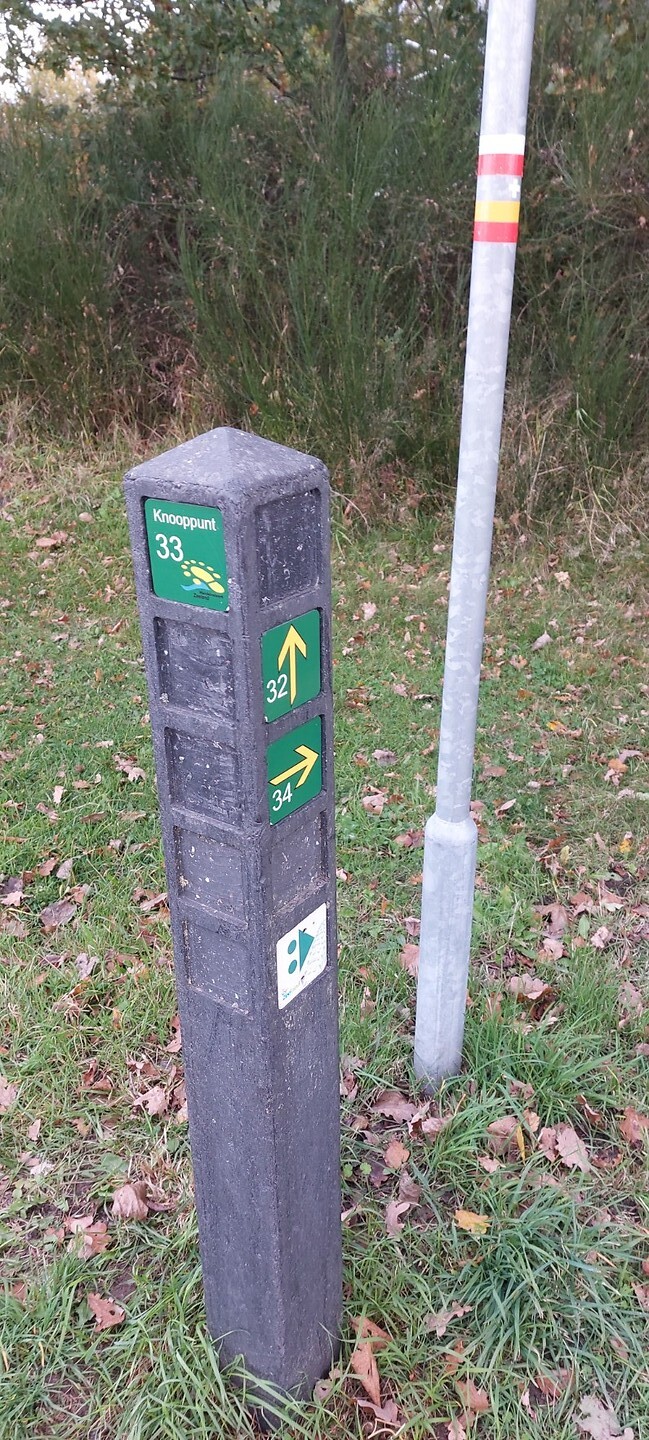 10. knp 33