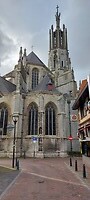 12. basiliek achterkant
