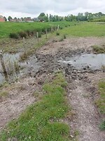 Aardenburgse modderpoel