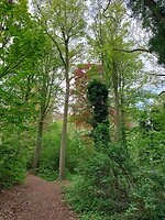 Elderschans 2