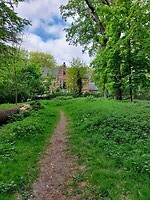 Elderschans